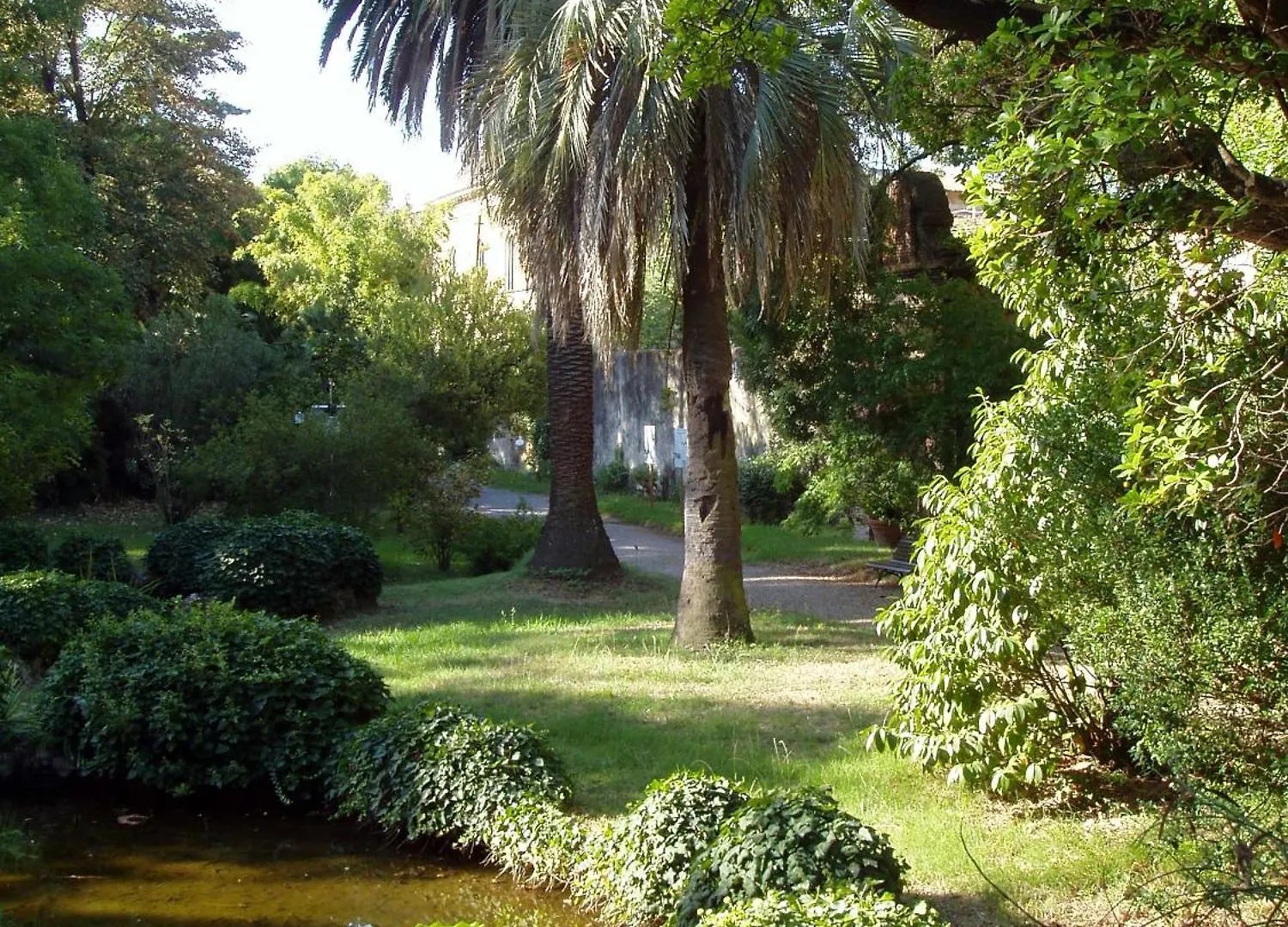 Hagley Park Hidden Gem Apartment Christchurch