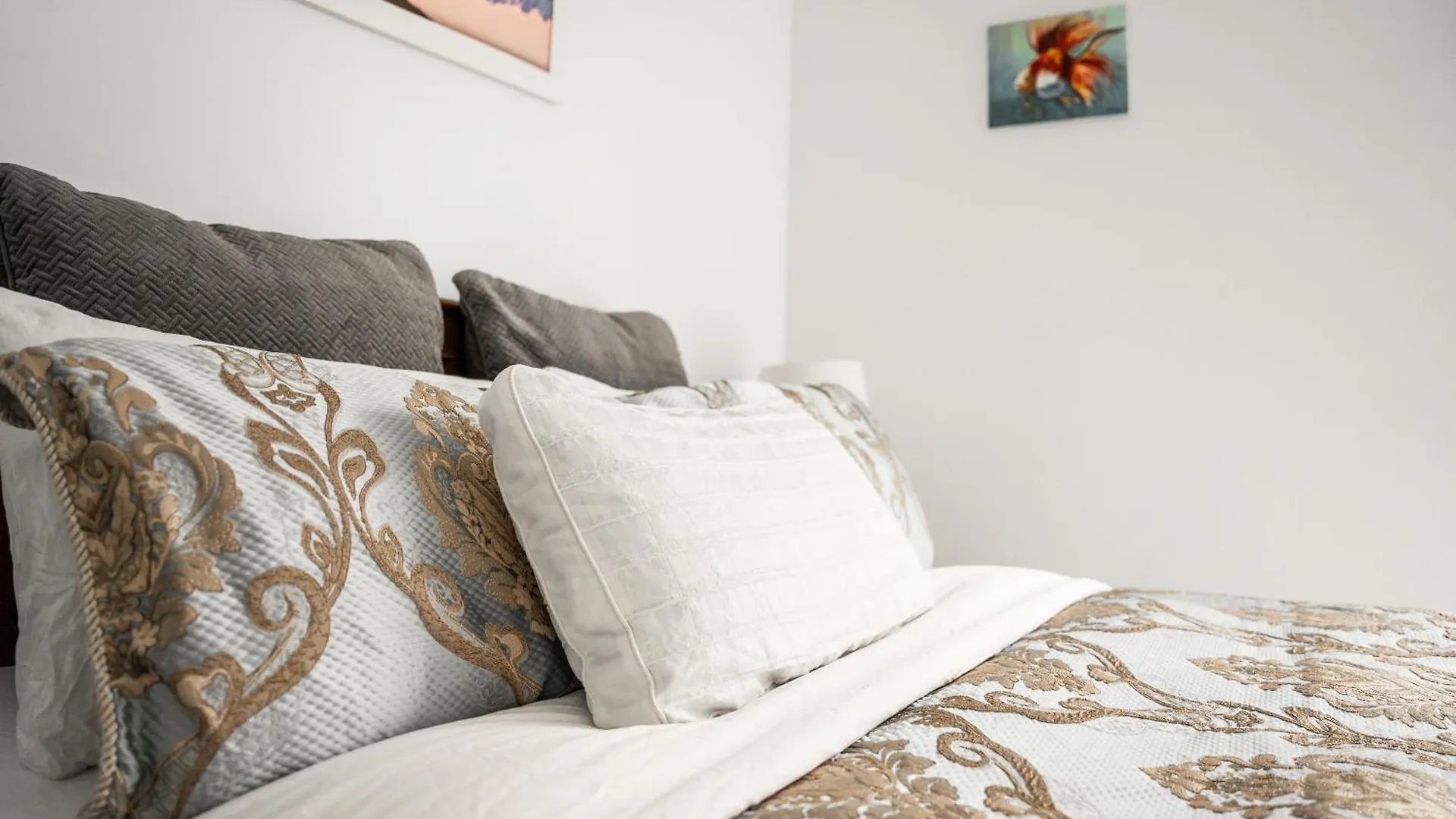 Hagley Park Hidden Gem Apartment Christchurch New Zealand